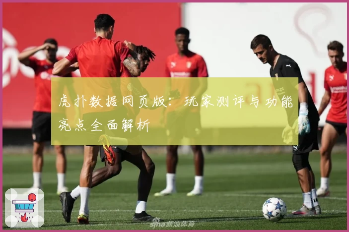 虎扑数据网页版:玩家测评与功能亮点全面解析
