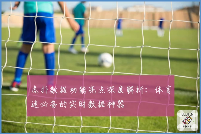 虎扑数据功能亮点深度解析:体育迷必备的实时数据神器