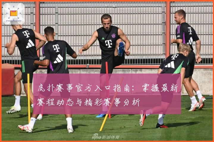 虎扑赛事官方入口指南：掌握最新赛程动态与精彩赛事分析